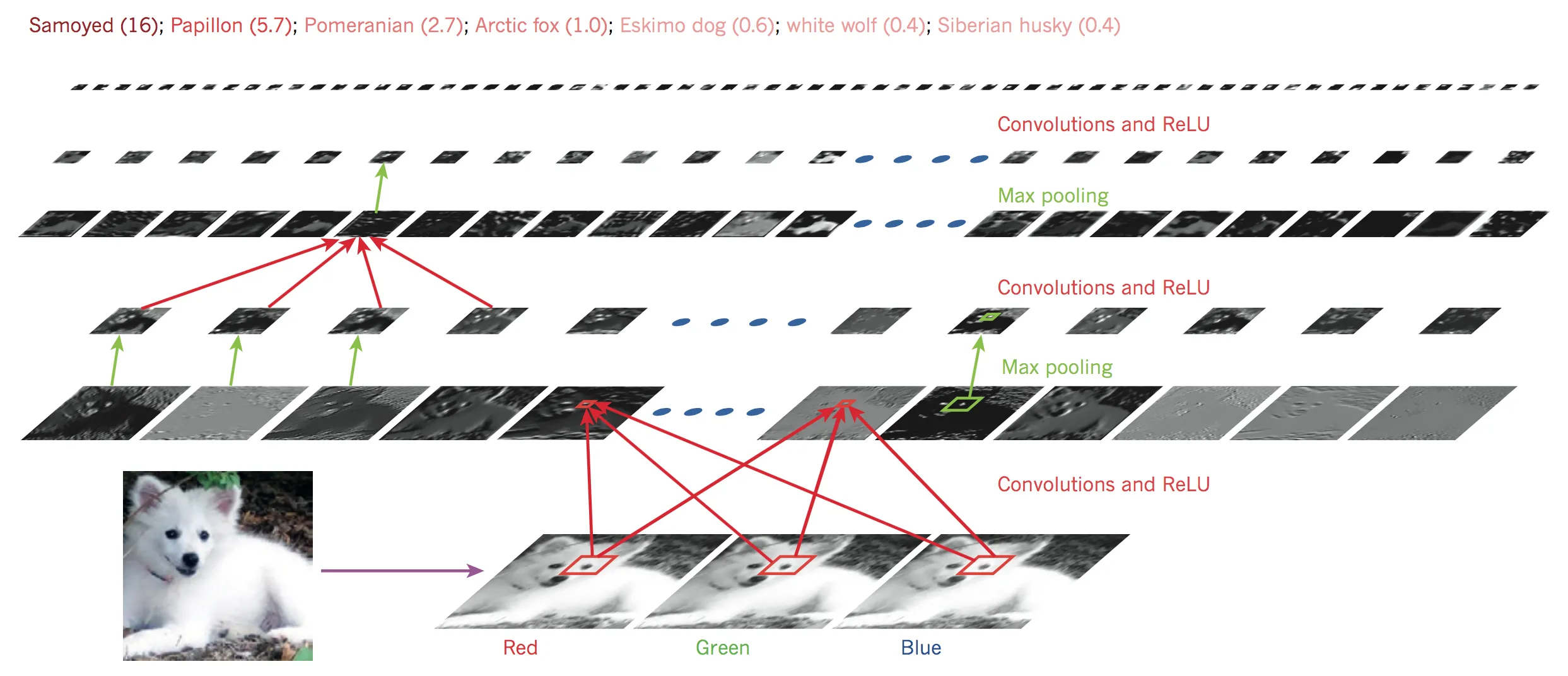 fig2